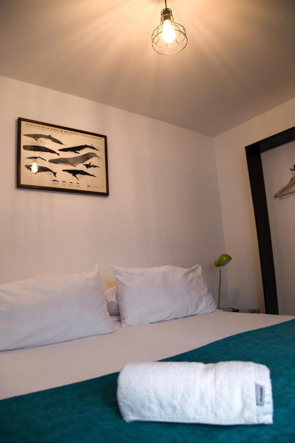 Hostal Boutique Terra Antarctica Punta Arenas Zewnętrze zdjęcie